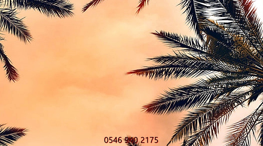 Web tasarım hizmetleri › Web Site Tasarım | 0546 940 2175 › nbsp› Web Site Tasarım | 0546 940 2175